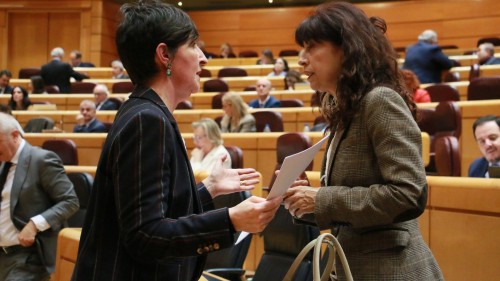 EAJ-PNVk emakumeen aurkako indarkeria matxisten biktimei laguntzeko Errege Dekretuen aplikazioa bateratu dezala eskatuko dio Berdintasun Ministerioari  