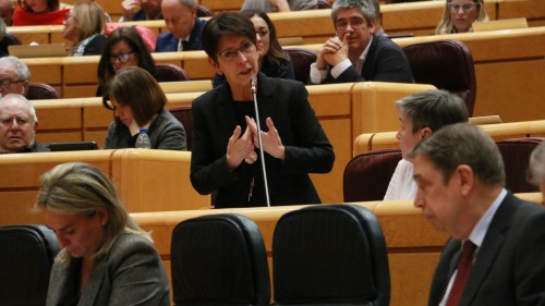 EAJ-PNVk otsoaren babes-mailari buruz duen jarrera zehaz dezala eskatuko dio Luis Planas ministroari